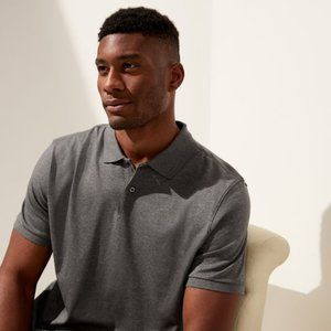 Banana Republic Performance Pique Polo (Gray Stripe)